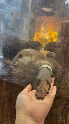 -Zoolung Zoolung动物主题公园(海信广场店)