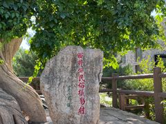 -府君山公园