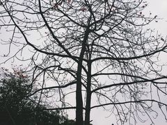 -晓港公园
