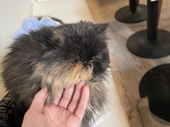 -小时光咖啡馆(北锣鼓巷店)