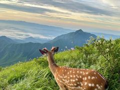 -萍乡武功山风景名胜区