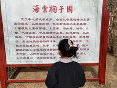 -燕郊植物园