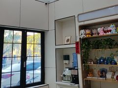 -凯瑞希宠物医院·狂犬免疫·微创·皮肤科