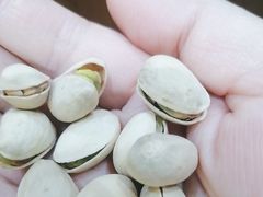 -学习谷日语培训日本留学·多语种外语教学(海淀人大分部)