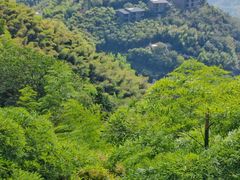 -莫干山风景区
