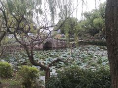 -蜜桃餐厅·伴山(湖滨商业街店)