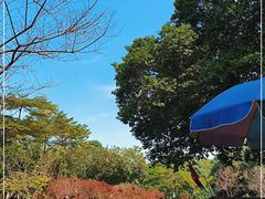 -广州市帽峰山景区
