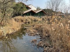 -西湖风景区-江洋畈生态公园