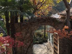 -秋霞圃