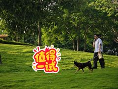 -白石龙音乐公园