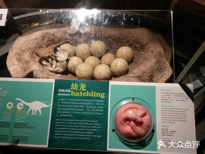 广东科学中心景点图片