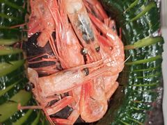 -星伦多自助料理·涮烤一体(江桥万达店)