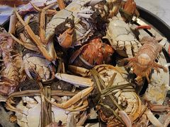 -半岛听涛蒸汽海鲜自助(K11店)