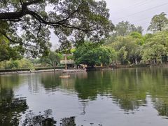 -晓港公园