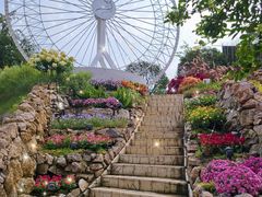 -三圣花乡旅游区