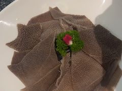 -洪氏嗨捞·猪肚鸡火锅(阳光天地店)
