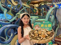 -老滇山寨•云南特色菜•地方菜•民族风情歌舞表演(金碧店)