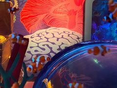 -沈阳海洋探索中心