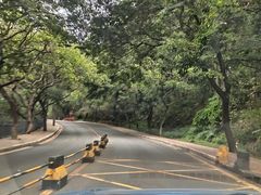 -南国桃园旅游度假区