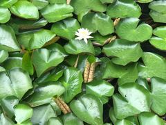 -上海方塔园