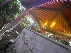 -海口观澜湖火山温泉谷