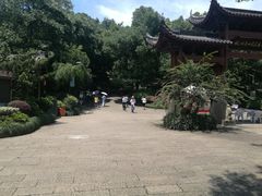 -杭州半山国家森林公园