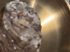 -质烤烤物·活烤海鲜(质烤总店)