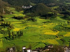-牛街螺丝田