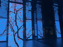 -中国湿地博物馆