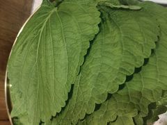 -炭之家·齐齐哈尔非遗烤肉·鲜切直供(中央大街店)