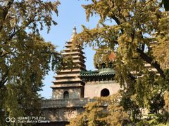 -北京石刻艺术博物馆(五塔寺)