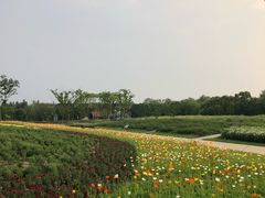 -同里国家湿地公园