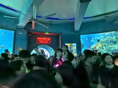 -海合安武汉极地海洋公园