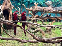 -杭州野生动物世界