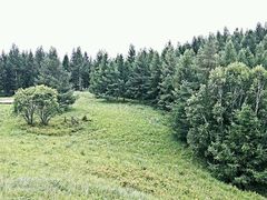 android_upload_pic-木兰围场