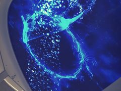 -阿五黄河大鲤鱼(海尚店)