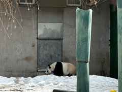 -沈阳森林动物园