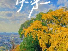 -灵岩山风景区