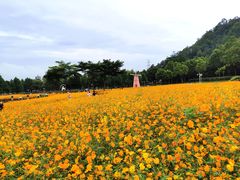 -顺峰山公园