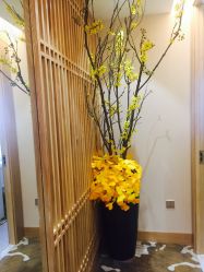 -一本X目奈子日式单根美睫专业店