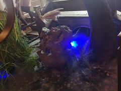 -绿茶餐厅(领展购物广场·中关村店)