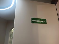 -恩舍瑜伽普拉提