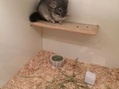 -龙猫仔乐园(惠福东路店)