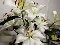 -素心斋素食餐厅