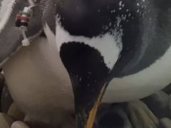 -大连圣亚海洋世界