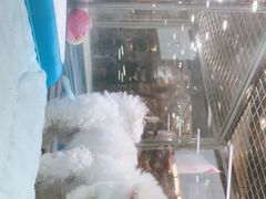-宠物世家(仲盛世界商城店)