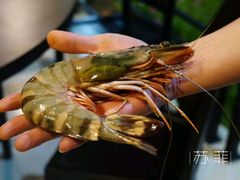 虎虾-班达海鲜餐厅