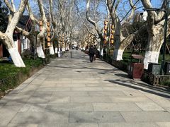 -杭州黄龙洞