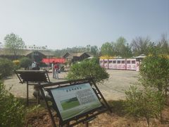 -西青郊野公园