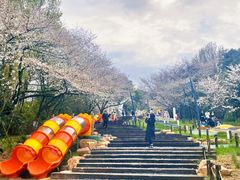 -杭州少年儿童公园
